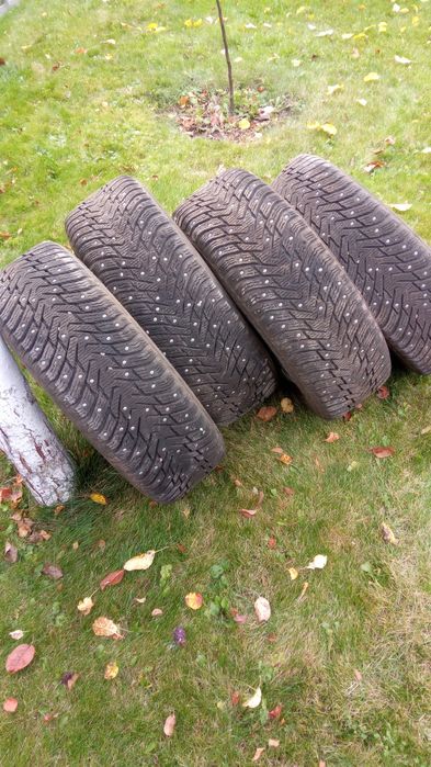 Шини зимові 205 55 17