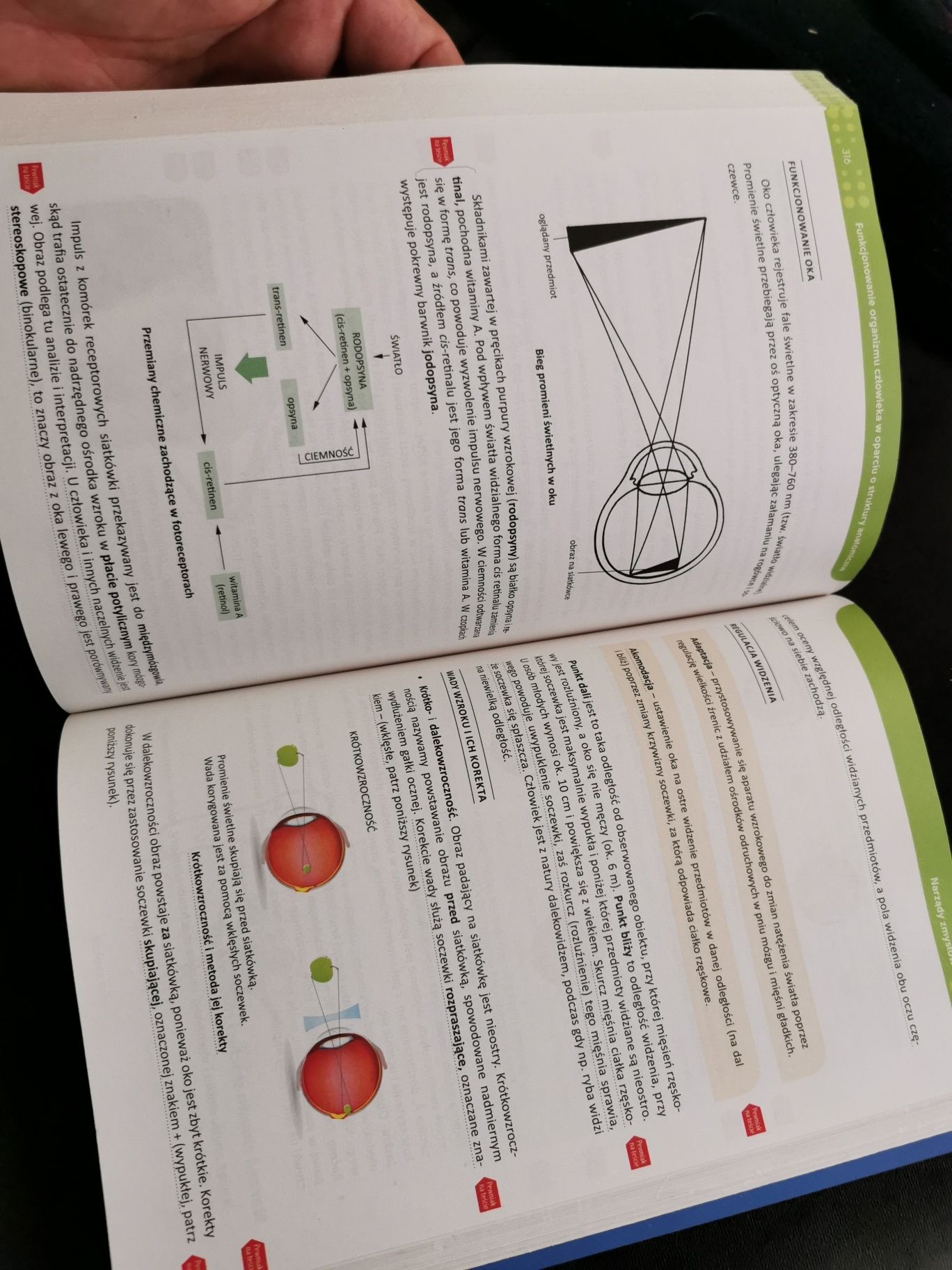 Repetytorium biologia matura