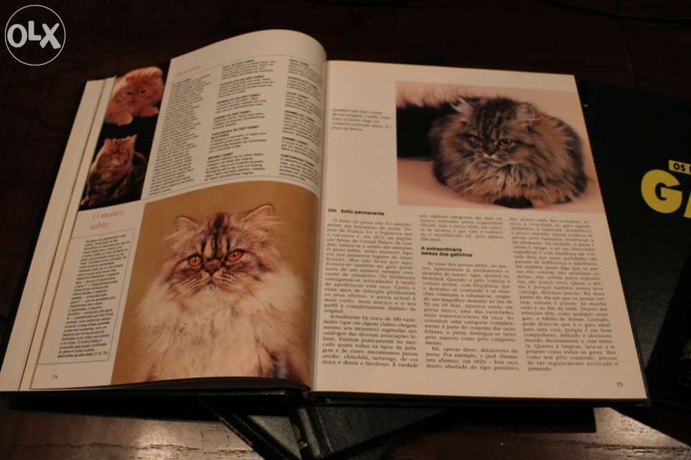 Enciclopédia sobre gatos "Os nossos amigos os Gatos"