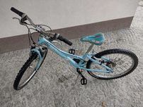 Trek mountain track 220