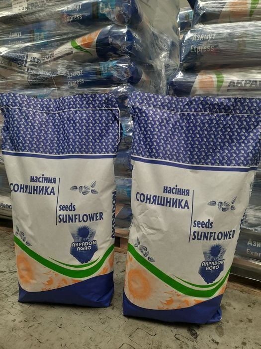 Насіння соняшнику під Гранстар,кукурудза,смена подсолнуха,гибрид