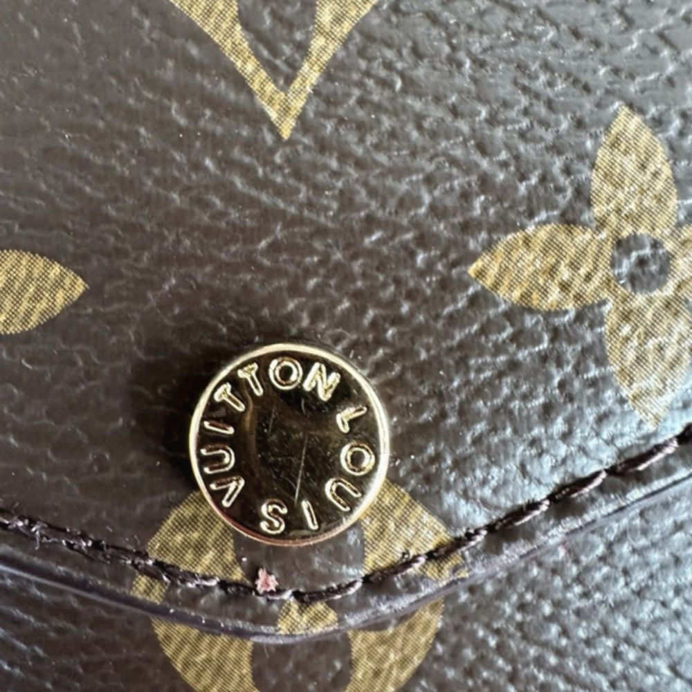 Louis Vuitton Monogram Pochette Accessories Bag