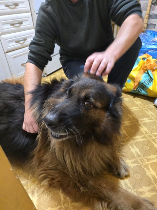 Oddam w dobre rece..