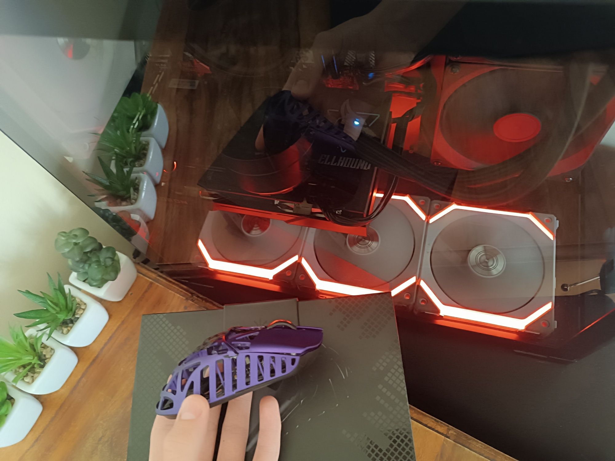Wl mouse beast x 8k