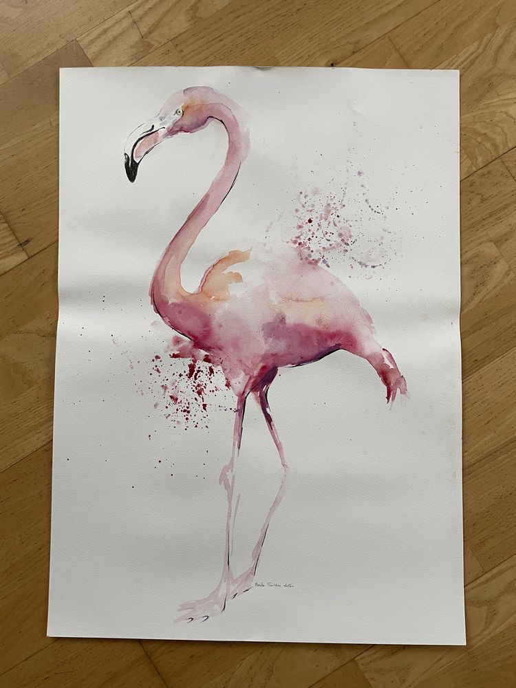 Obraz akwarela Flaming 50x70