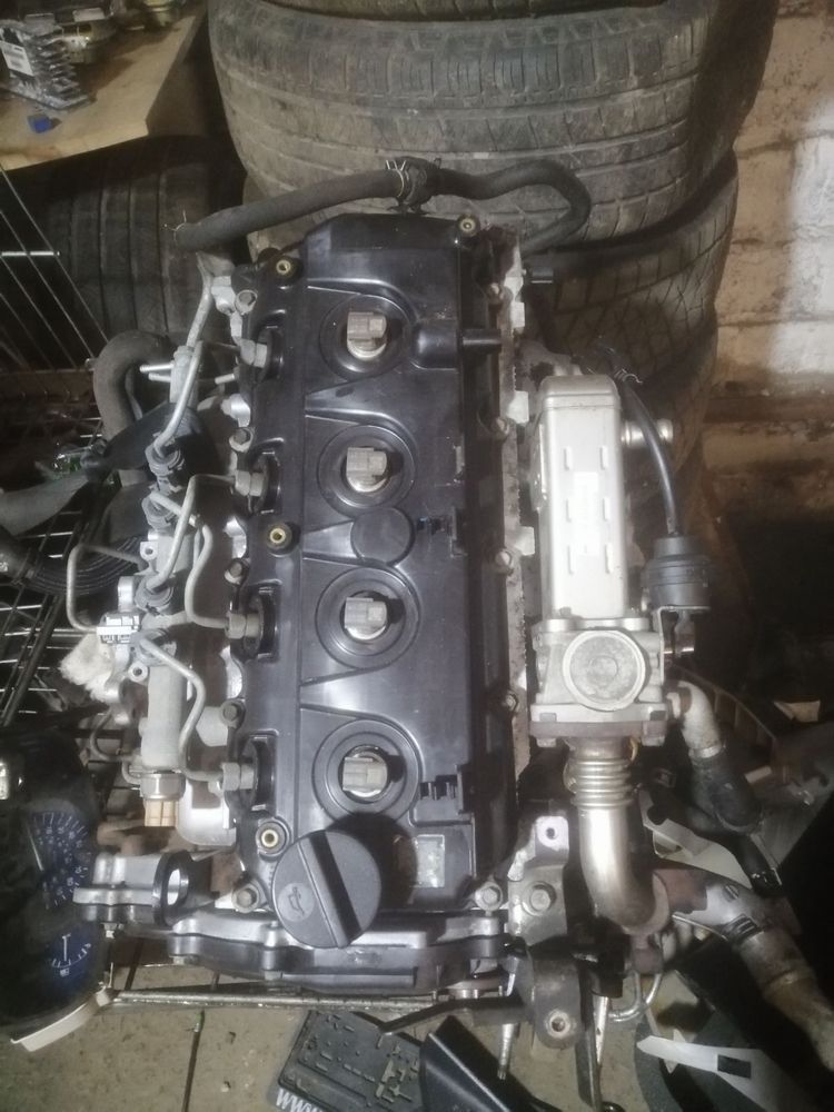 Гбц головка  на Nissan Navara pathfinder X-trail Primera Yd 22 25 d40