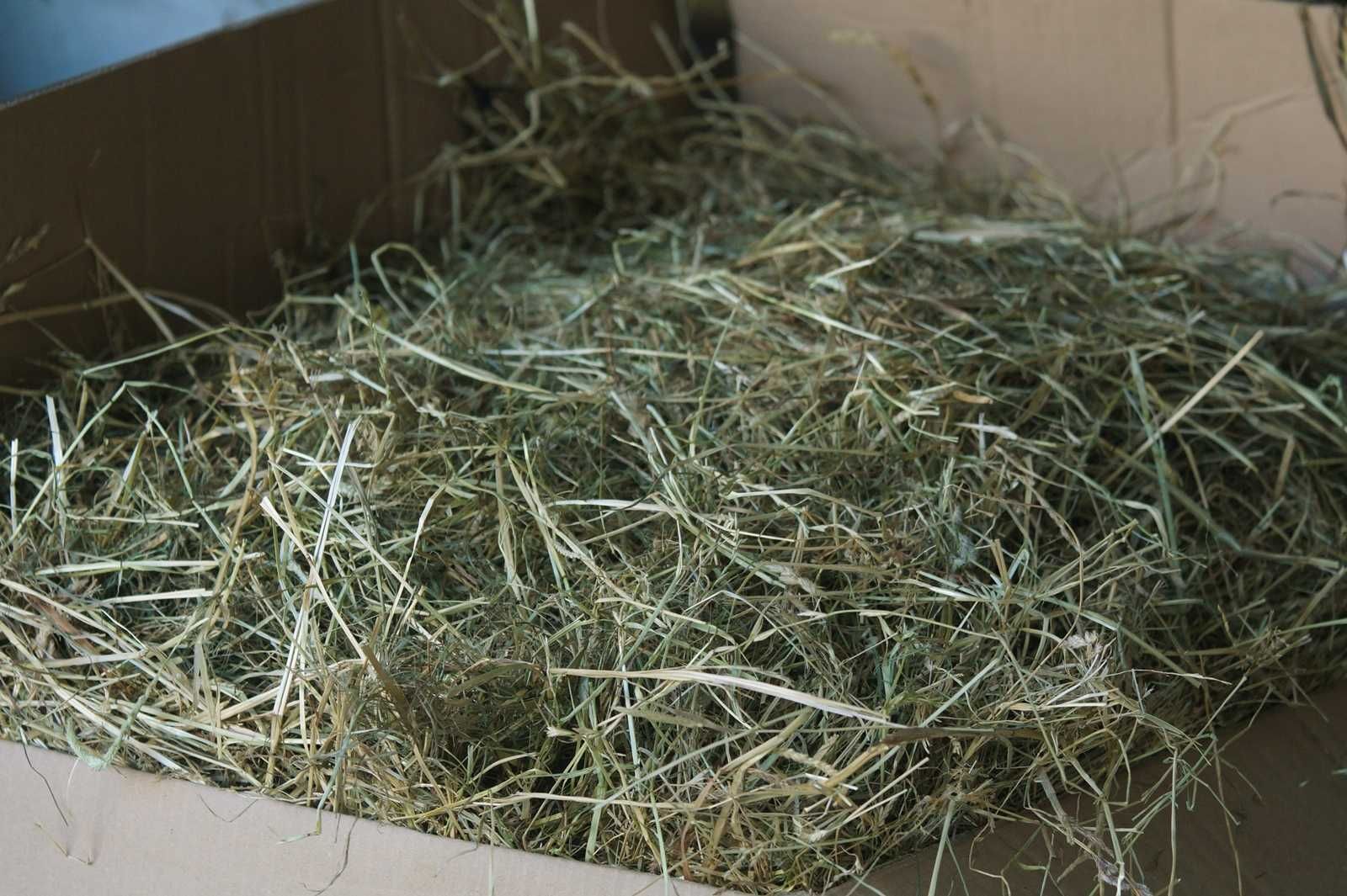 Siano dla królików 12kg