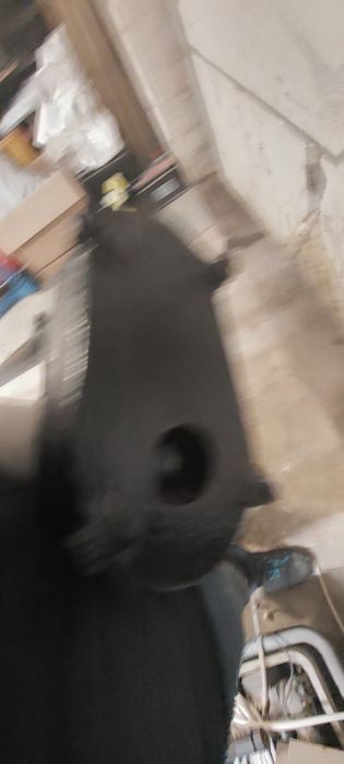 Pompa do szamba/wody mocna silnik 1 fazowy