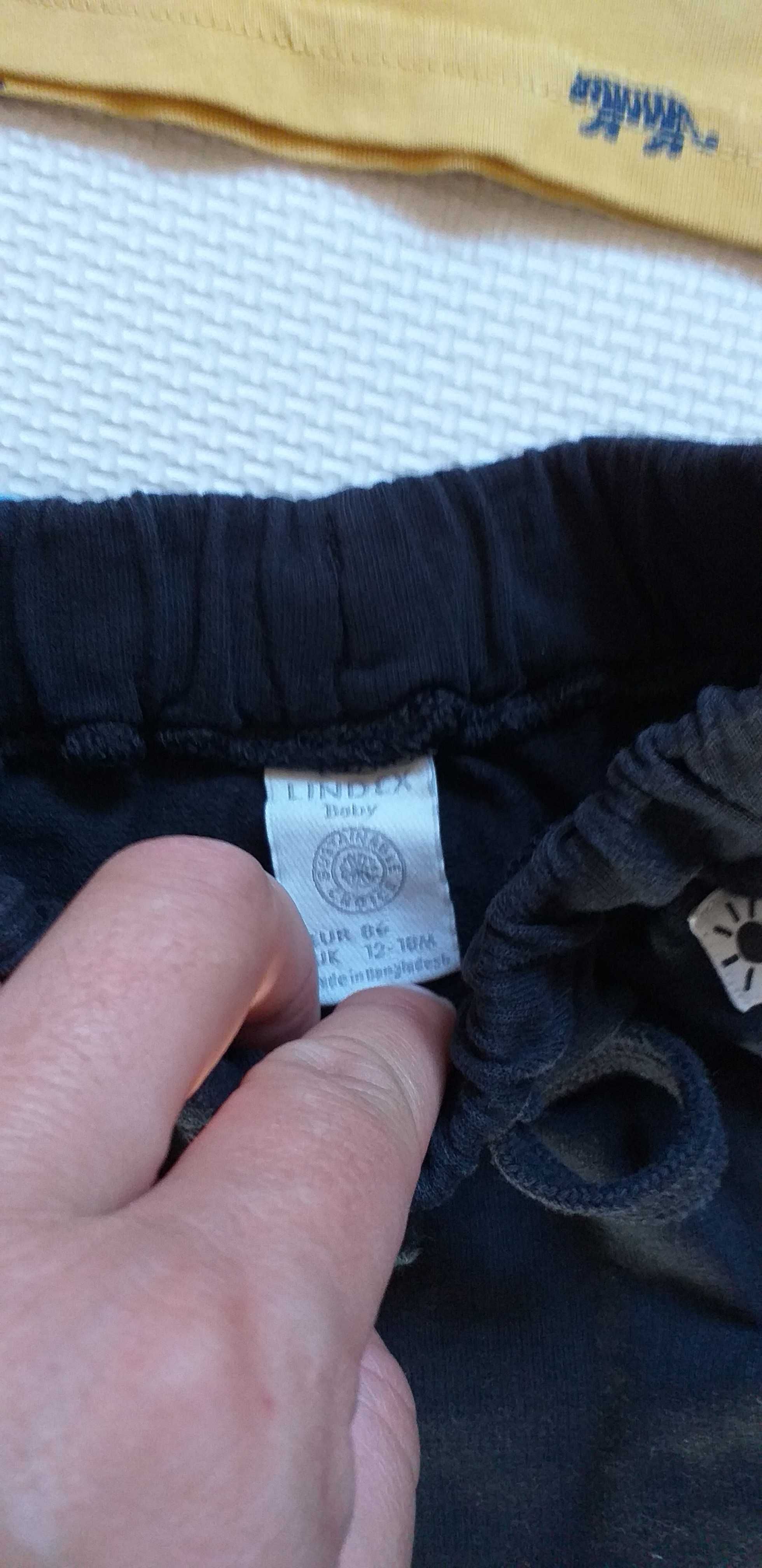 Komplet Lindex na lato krótkie spodenki i t-shirt w tygrysy 86-92