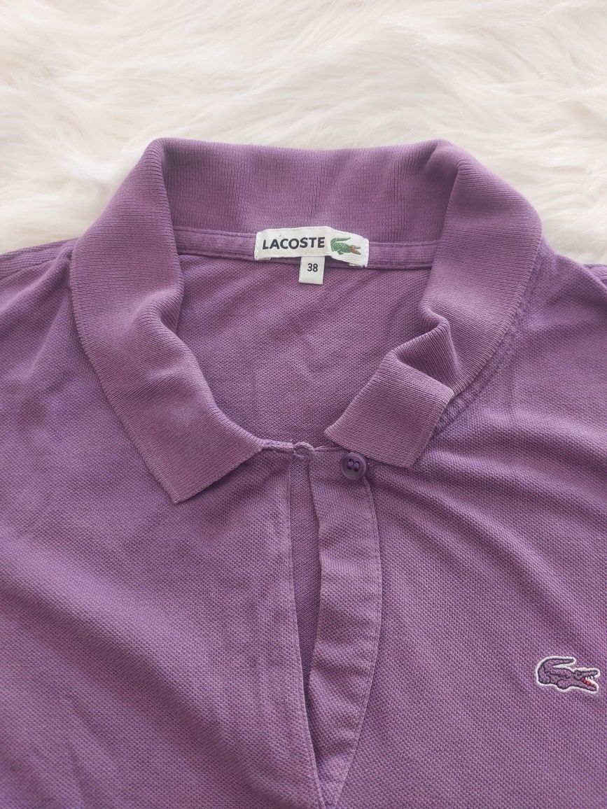 Polo roxo Lacoste