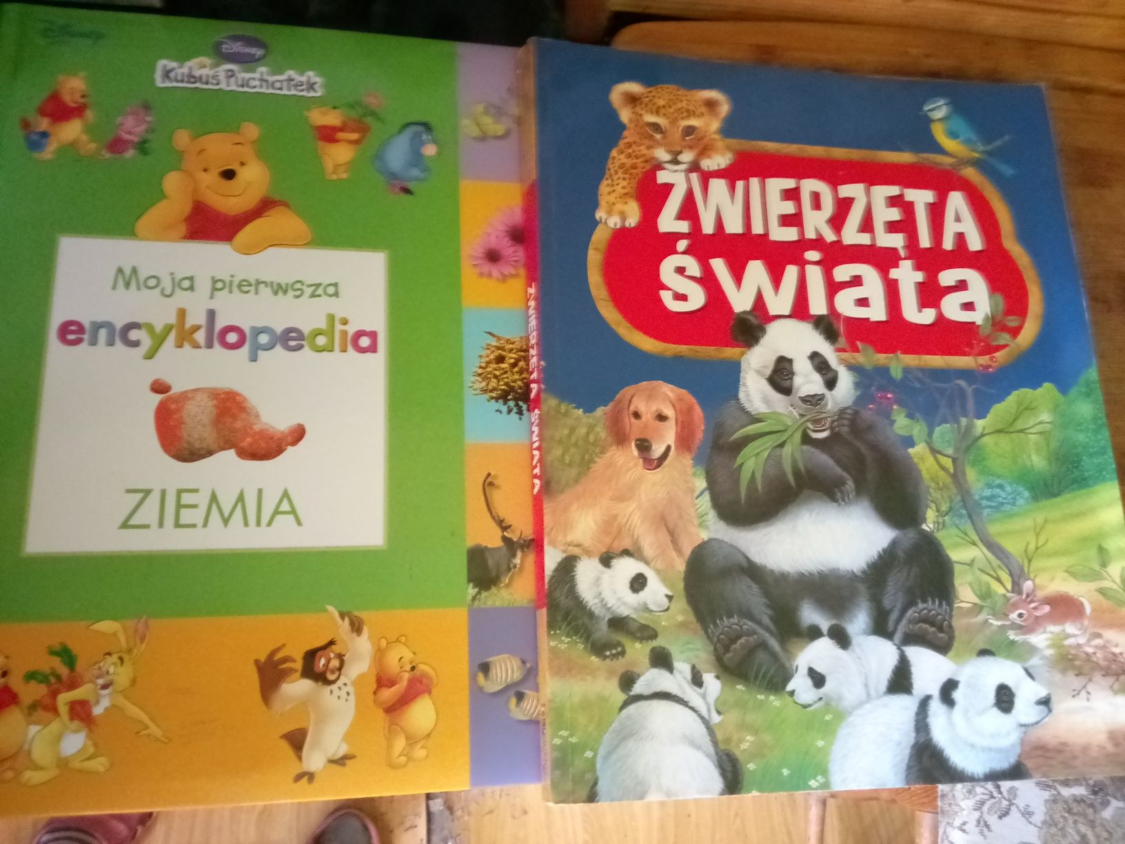 Książeczki dla dzieci