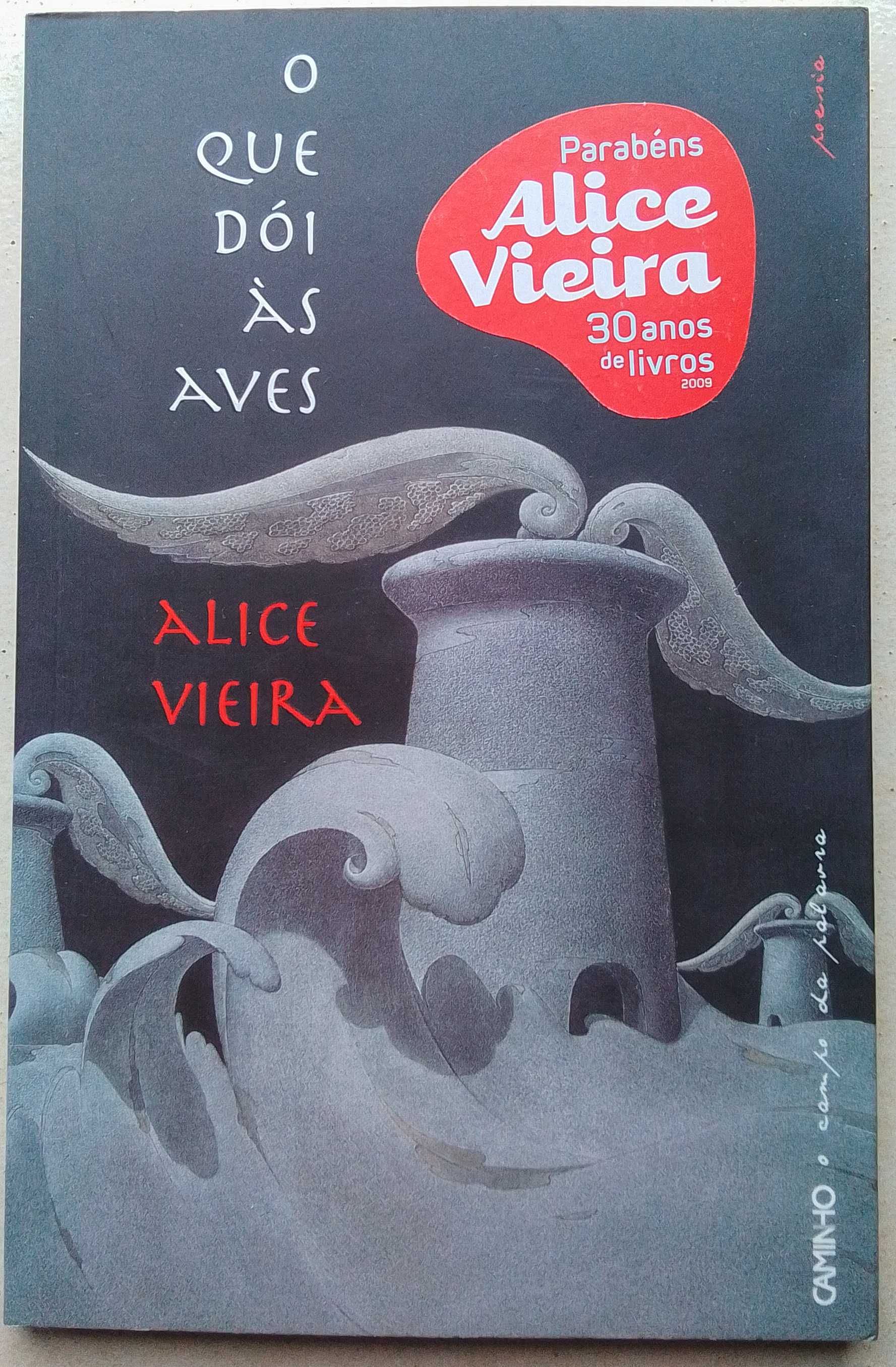 Pack de 6 livros de poesia portuguesa