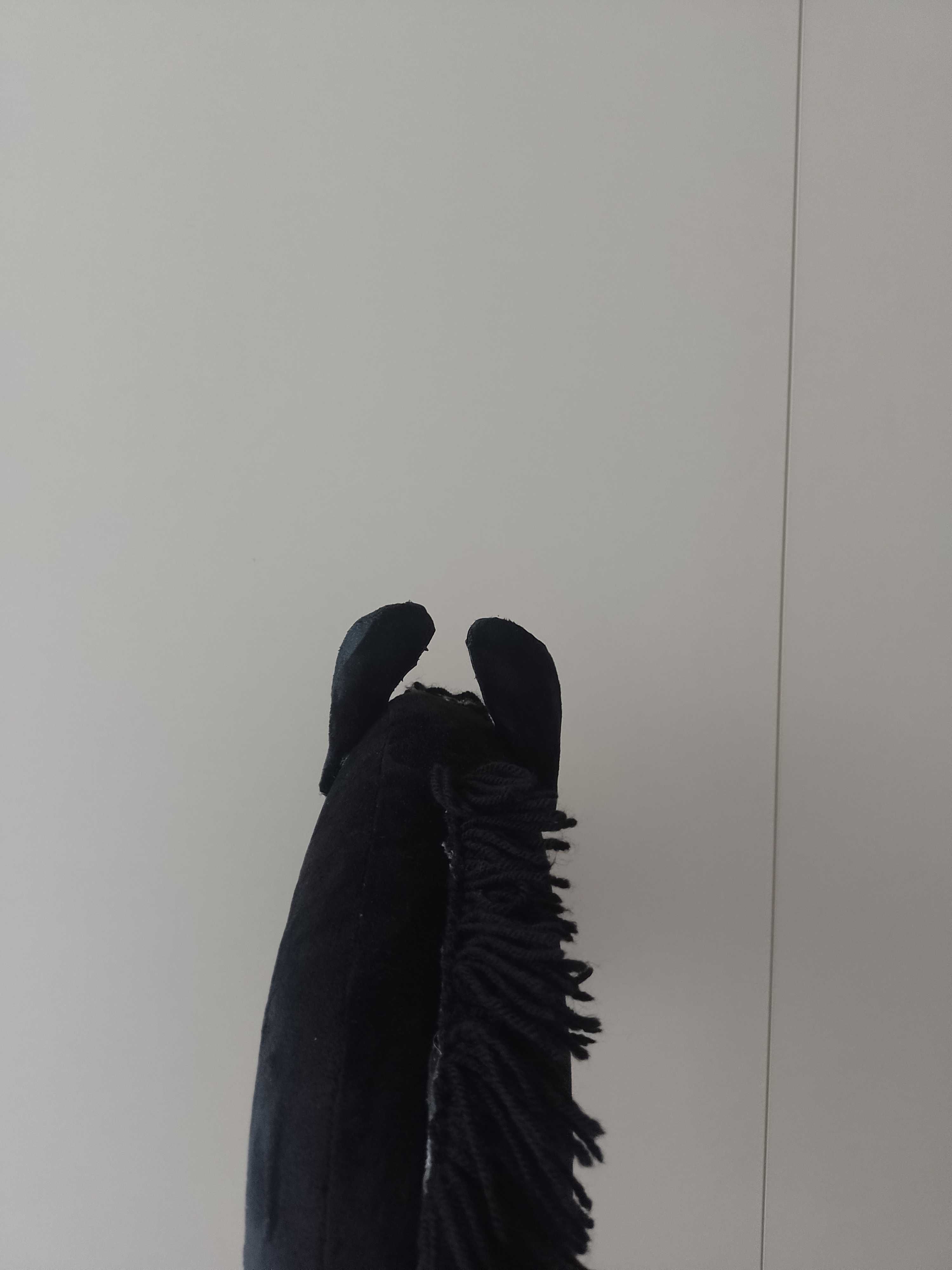 Hobby horse kary