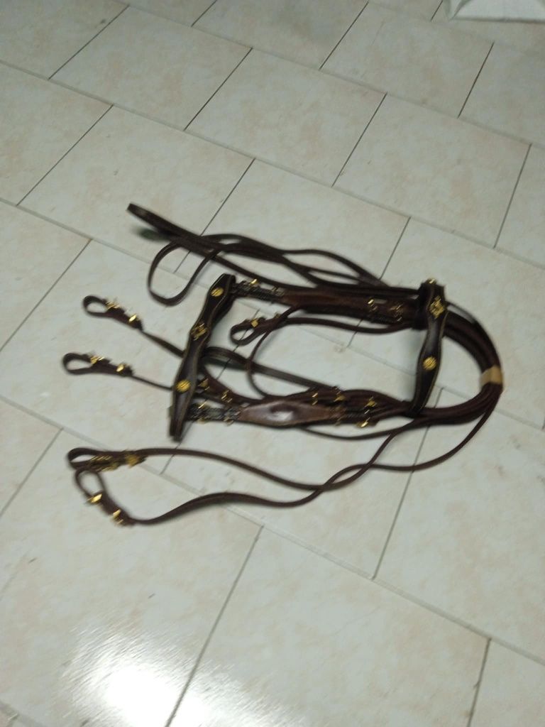 Vendo este material equestre