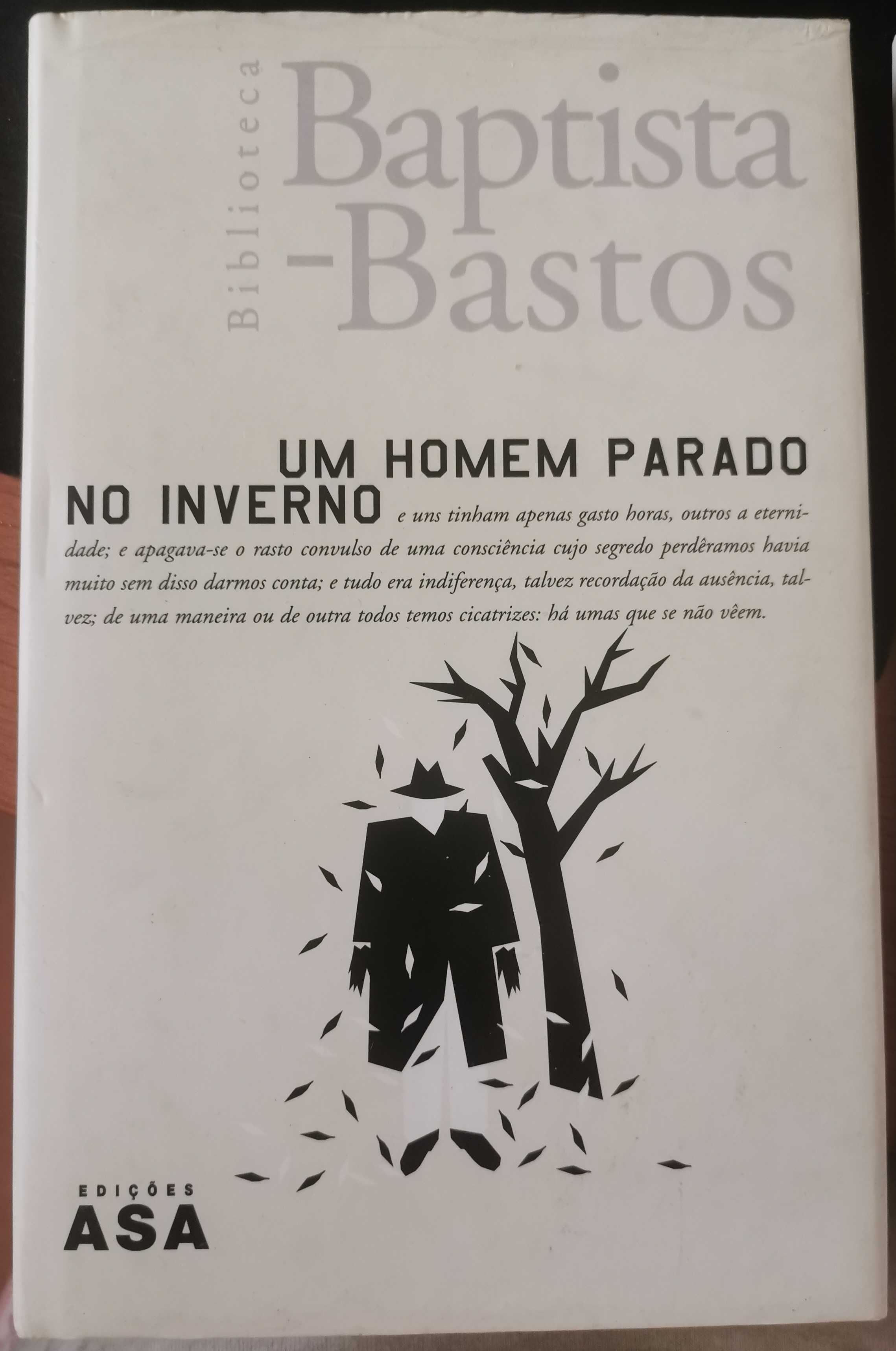 Um Homem Parado No Inverno - Baptista Bastos