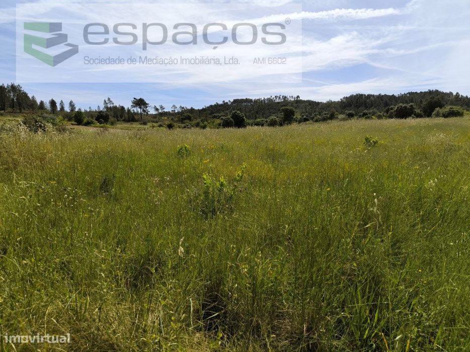 Terreno com poço - S. Domingos