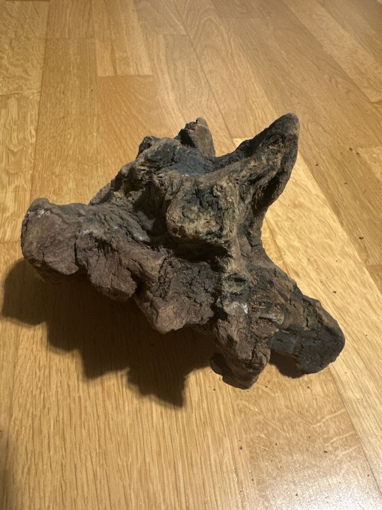 Korzen do tarrarium akwarium
