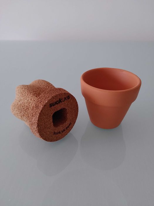 Cacto cortiça com vaso terracota