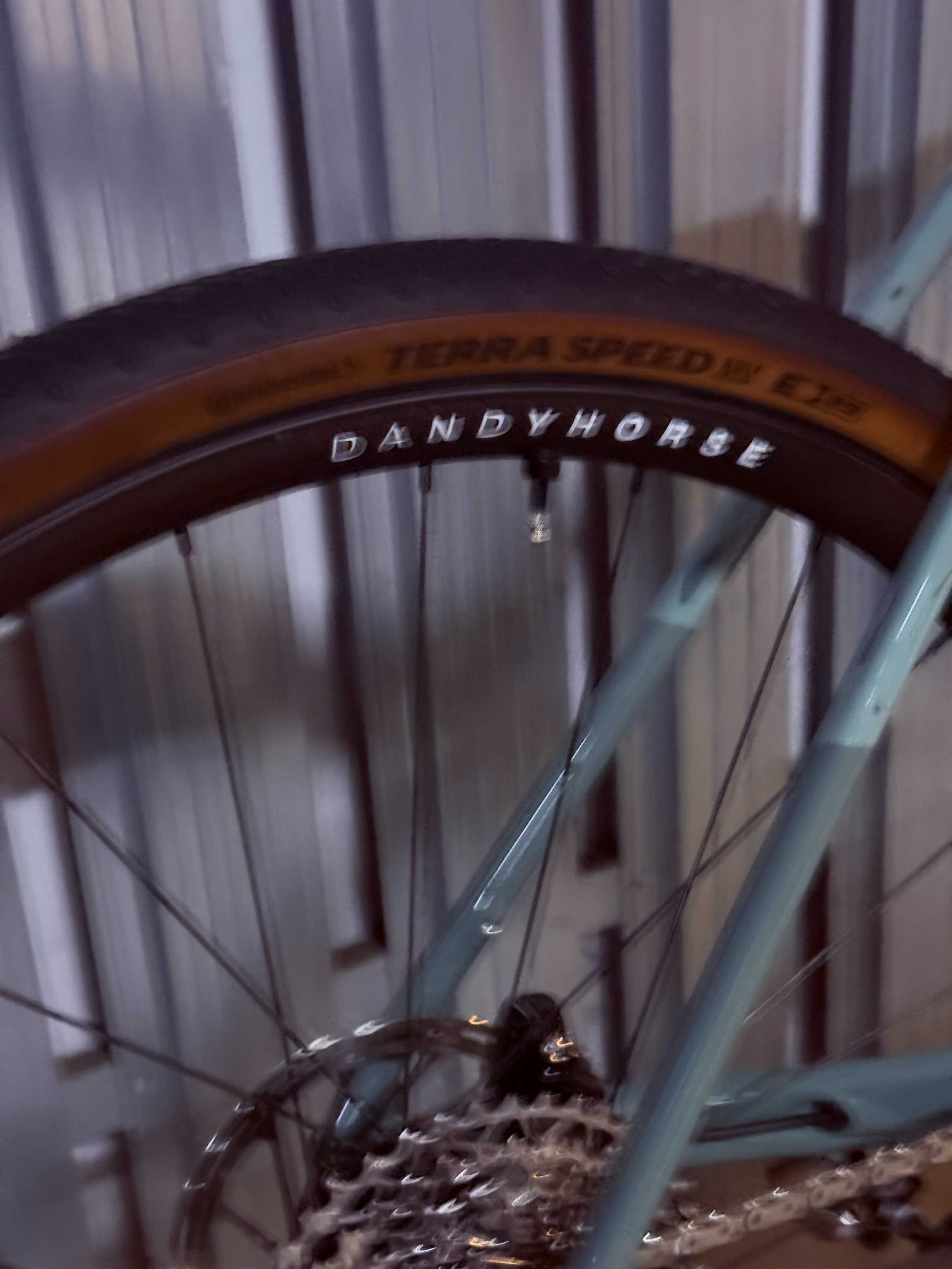 Canyon Grizl CF Rival AXS 1x12 rozmiar L koła Dandyhorse