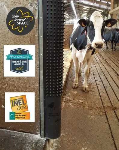 Czochradło DAIRY SCRATCHY Bioret Agri cena brutto