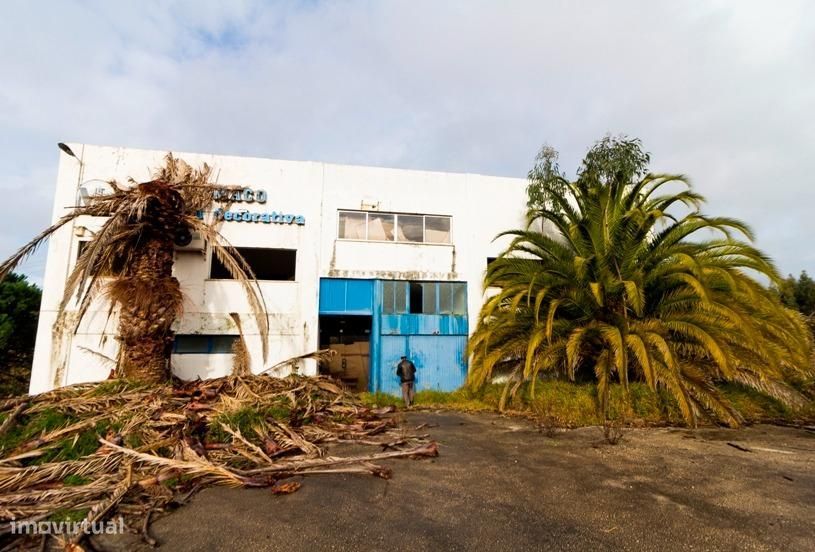 Prédio Industrial / Armazém – Maceirinha, Leiria