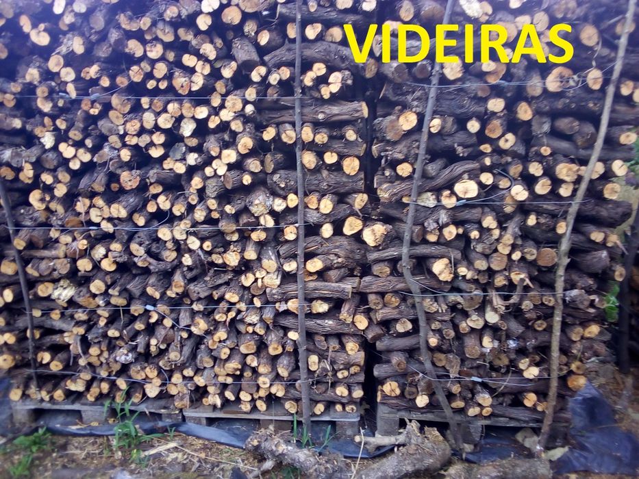 Lenha seca e rachada no Verão