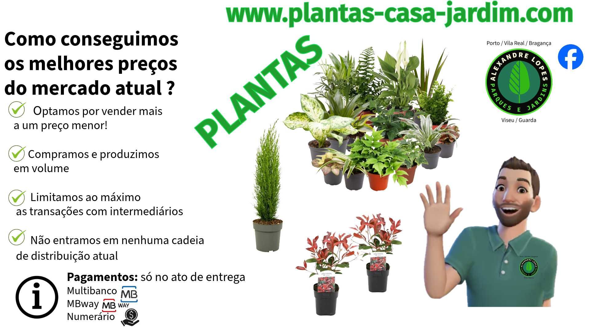 Realizamos jardins ao m2