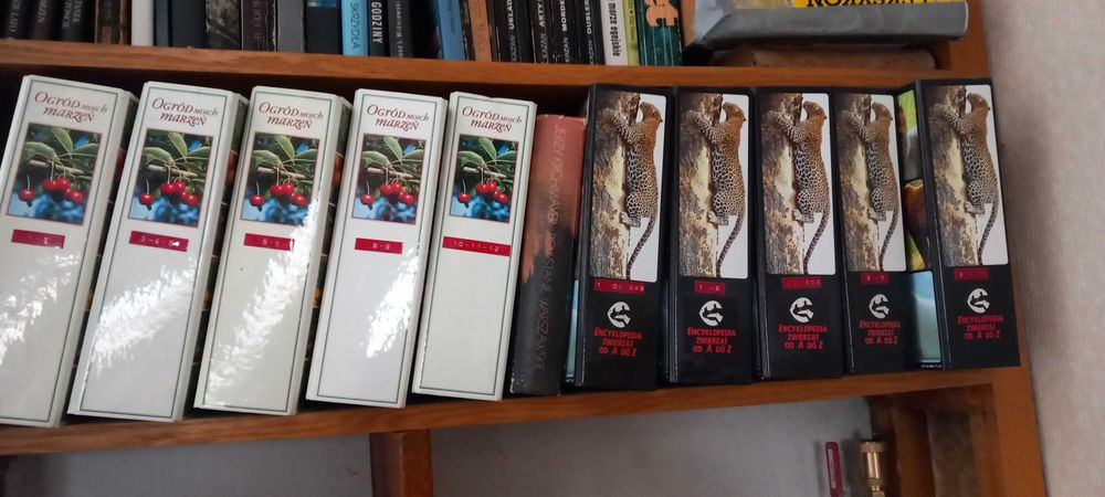 "Ogród moich marzeń" i "Encyklopedia zwierząt od Ado Z"