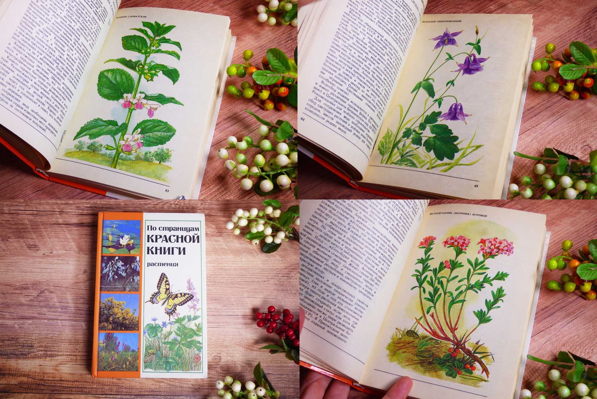 По страницам красной книги Растения