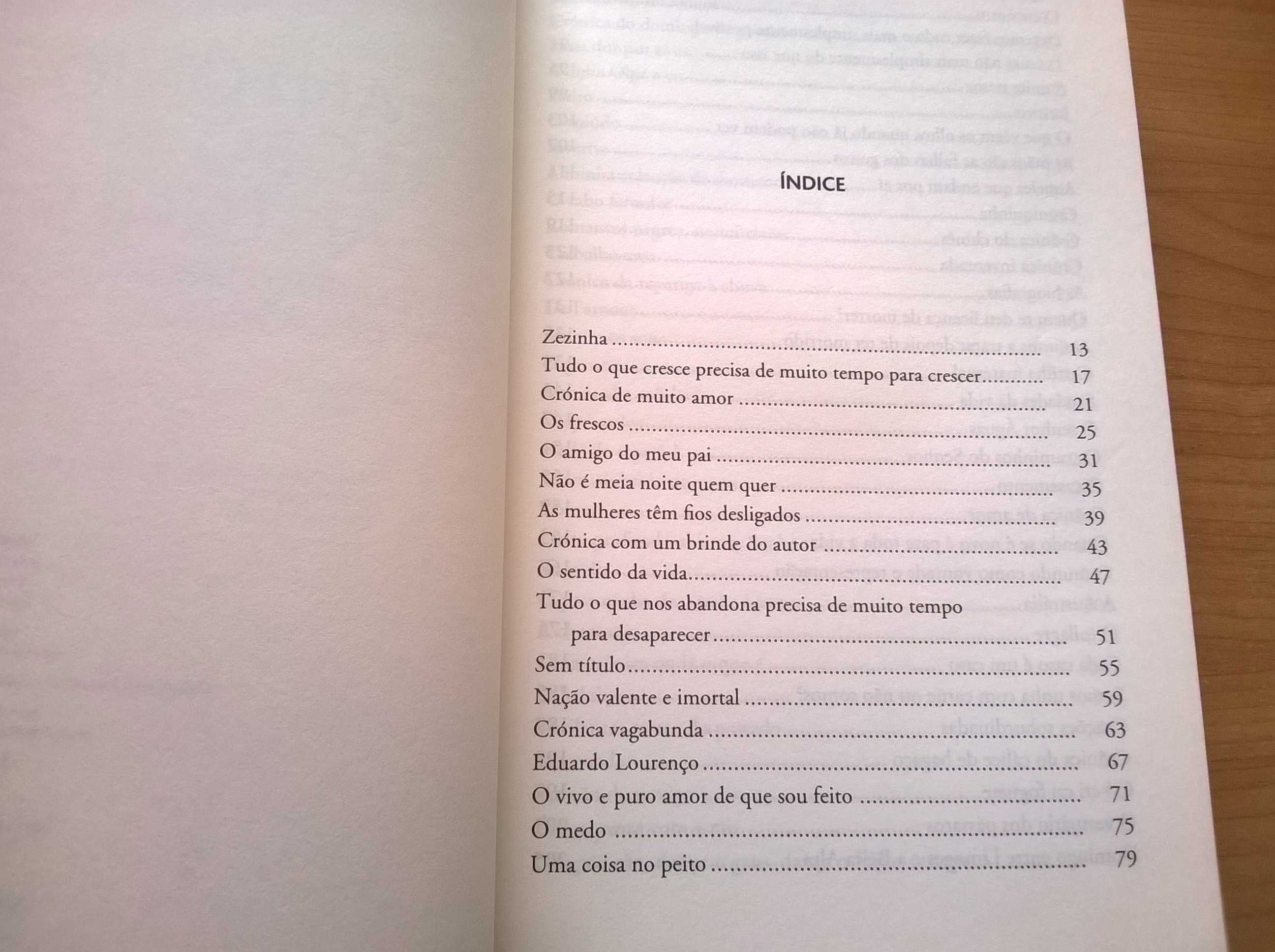 Quinto Livro de Crónicas - António Lobo Antunes