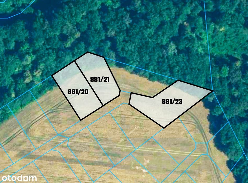 Działki budowlane | inwestycyjne | tereny zielone | Szczepanów