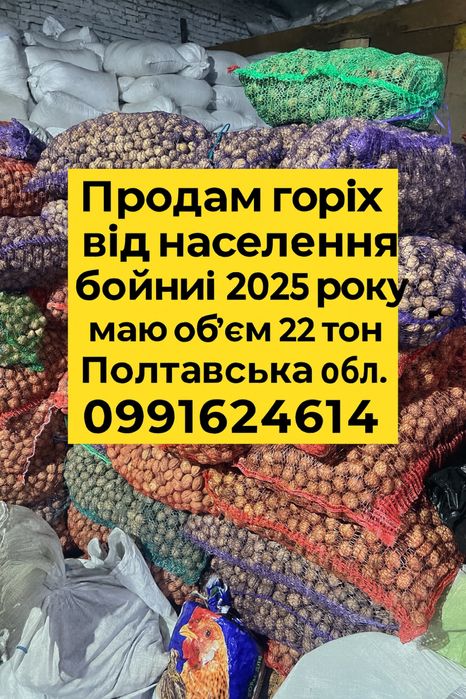 Горіх грецький продам