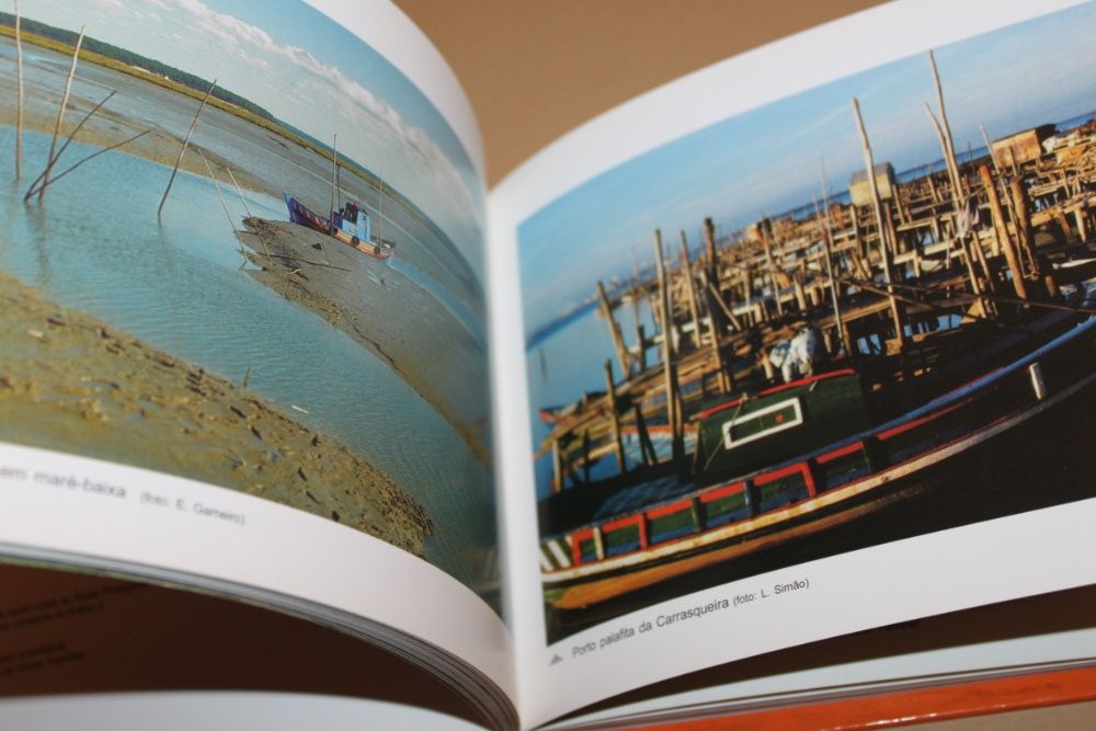 Áreas Protegidas Em Zonas Húmidas/João C. Farinha