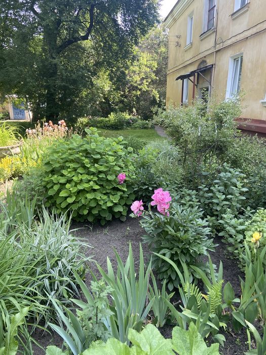 Продам 3х кім. сталінку з ремонтом в Центрі