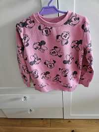 Bluza Myszka Minnie 116 Sinsey