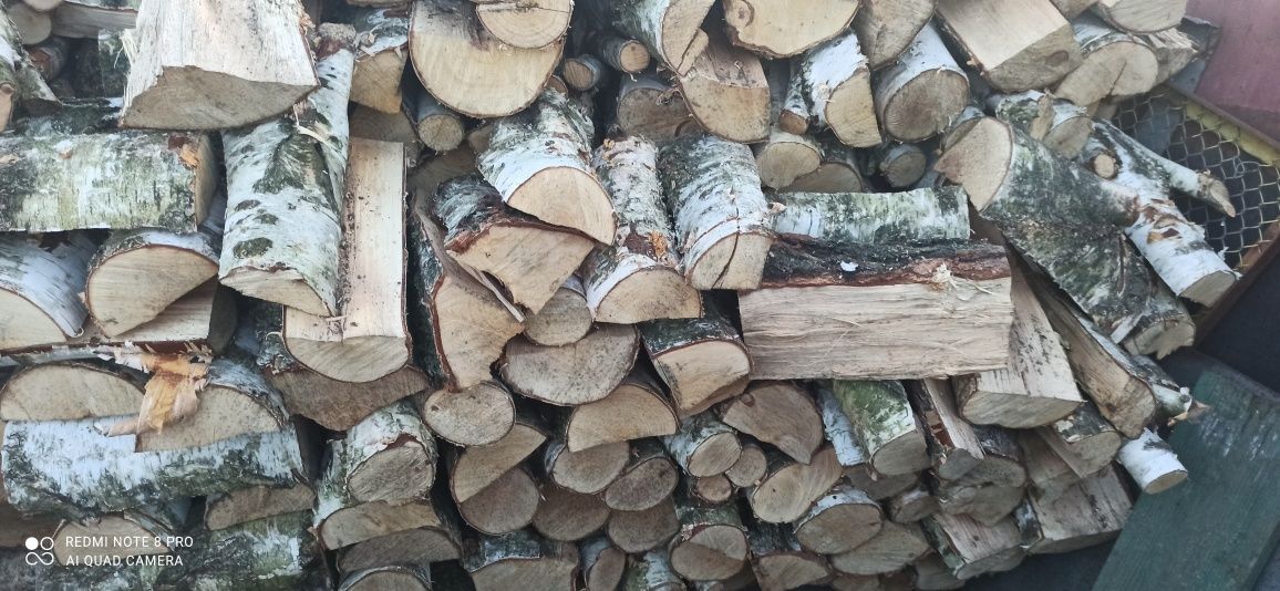 Drzewo kominkowe Brzoza osika sosna lipa
