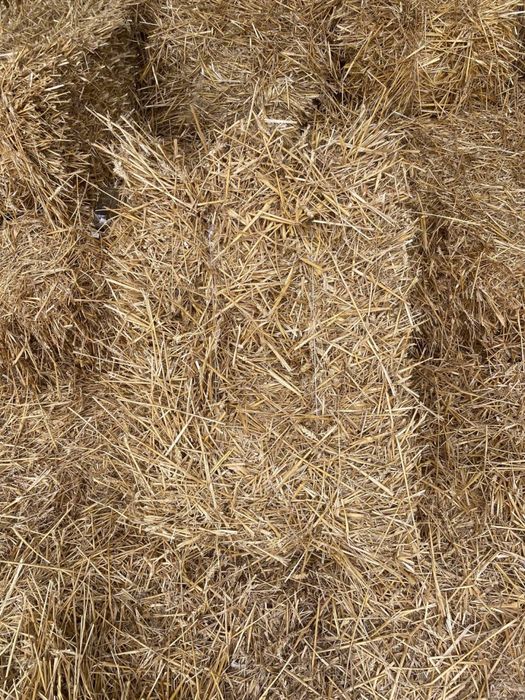 Продам тюки соломи