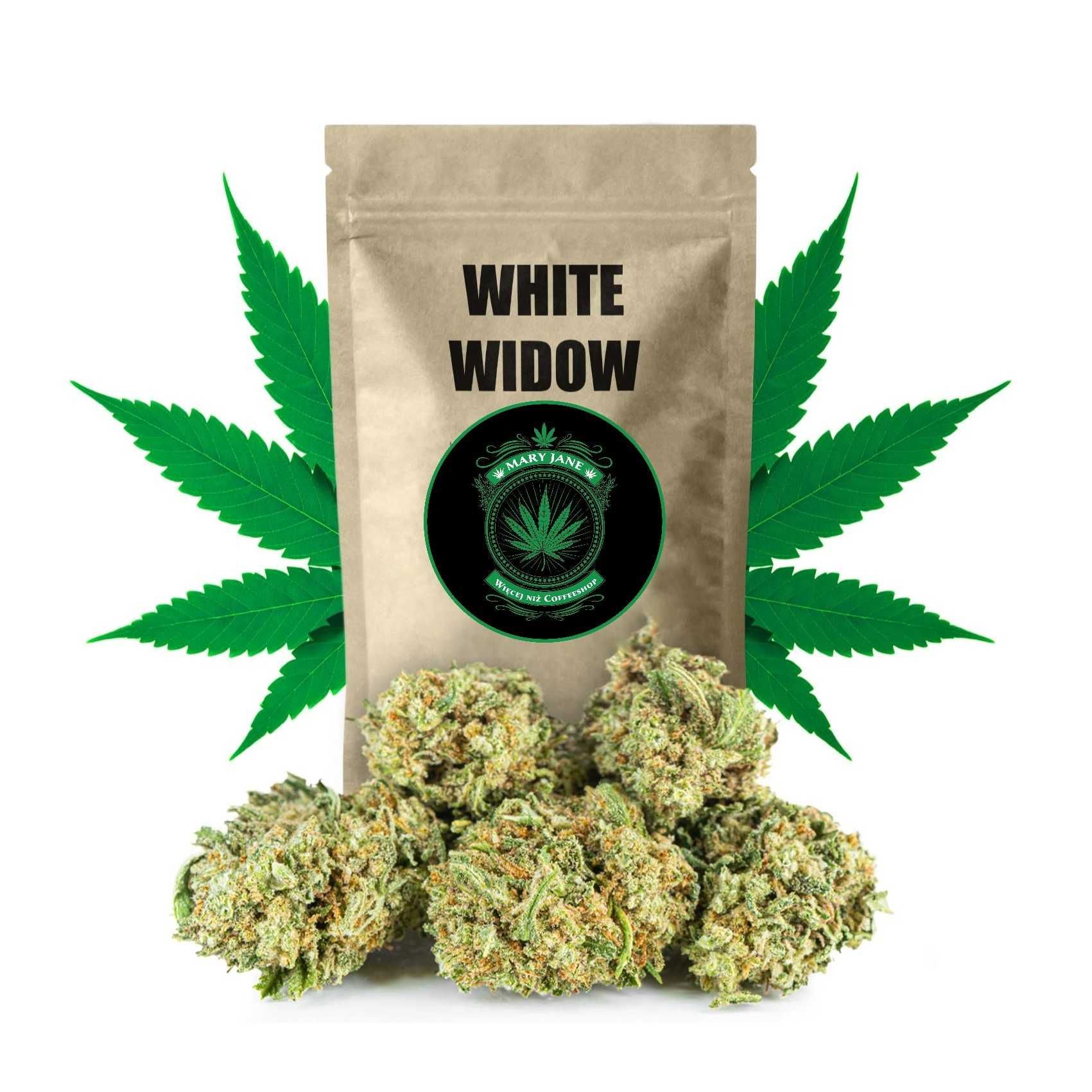 Sklep Mary Jane | White Widow do 39% CBD - Susz Konopny | 2 gramy