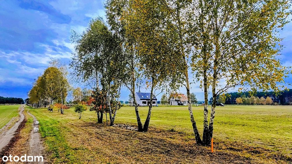 Las przy Twoim domu, działki budowlane, pow od 792 m2 do 2647 m2.