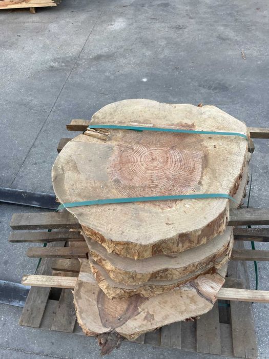 Rodelas de pinho de vários diâmetros e espessuras.