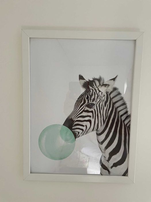 Decoração - Quadros Zebra Bubble Gum