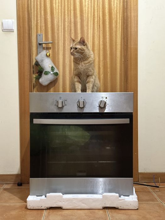 Forno de encastrar ZANUSSI