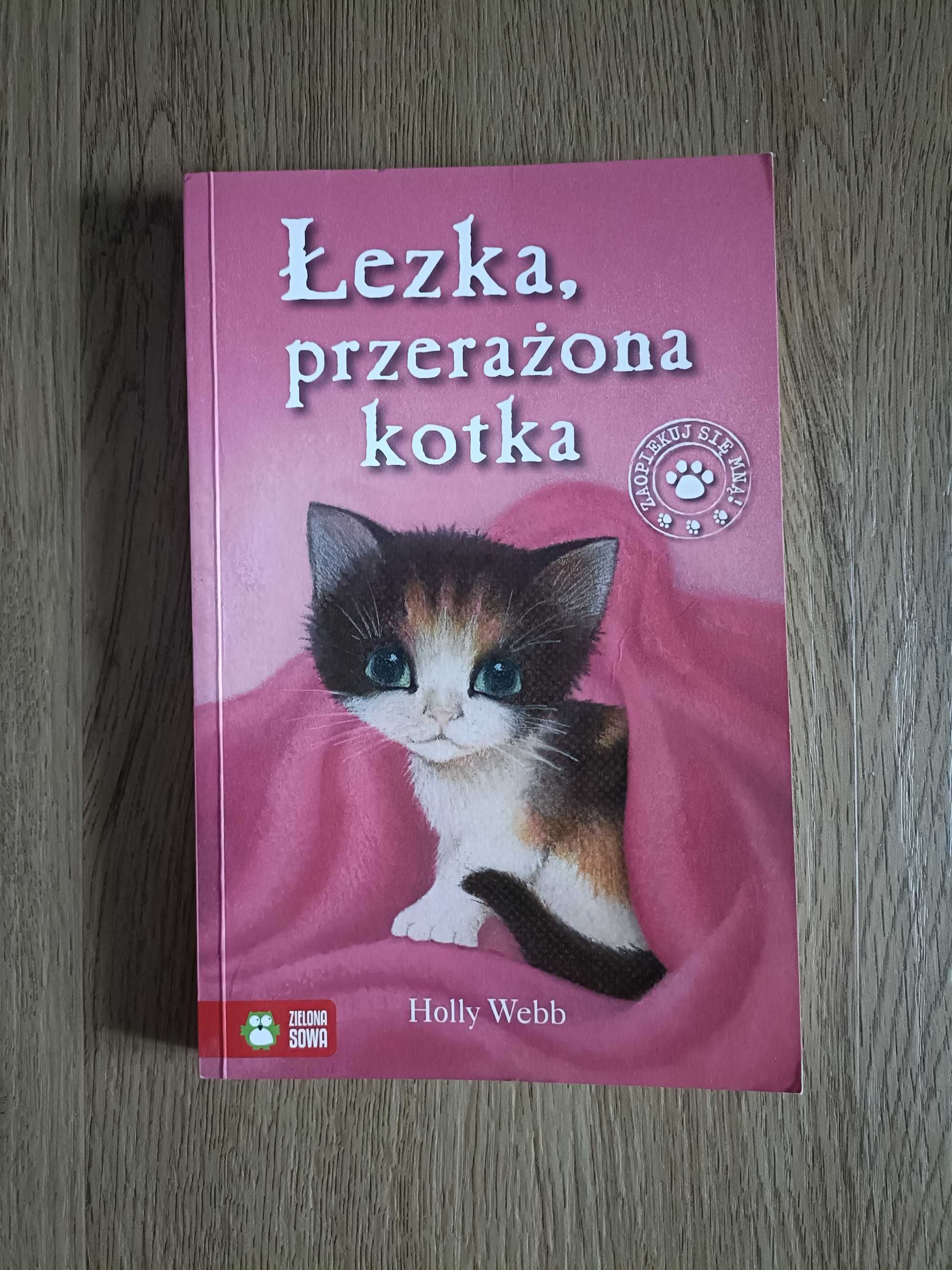 Zaopiekuj się mną Holly Webb Łezka przerażona kotka