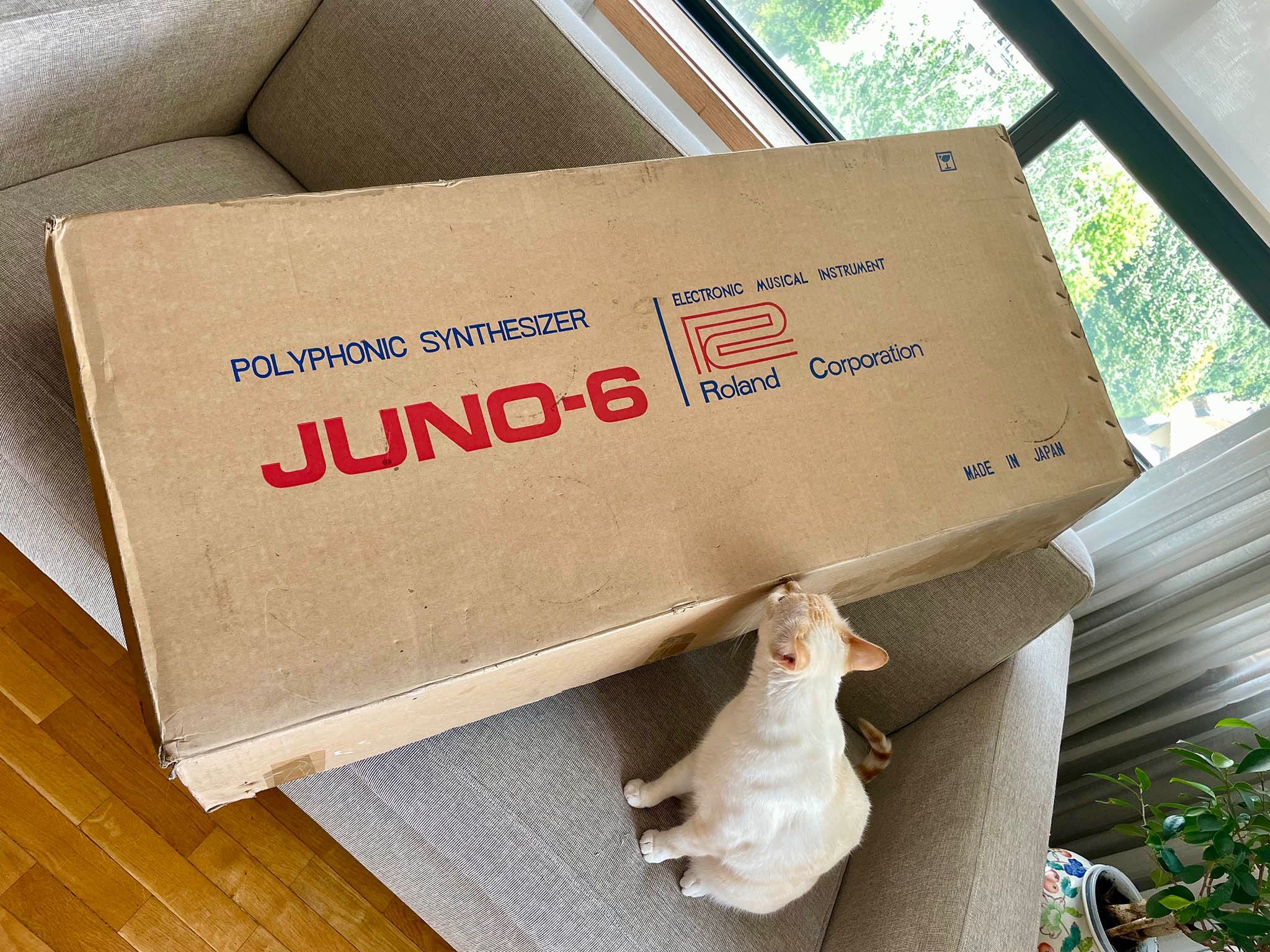 Roland JUNO 6, em estado de novo