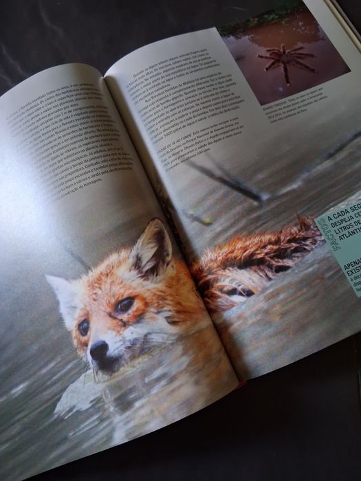 Livro NOVO Sobreviver a Catástrofes