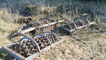 Wały posiewne crosskill 4.8m średnica 55 TRANSPORT