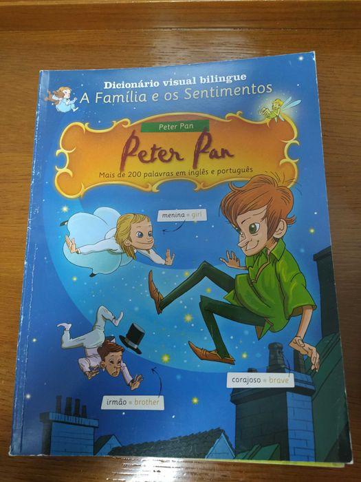 Dicionario Visual Biling