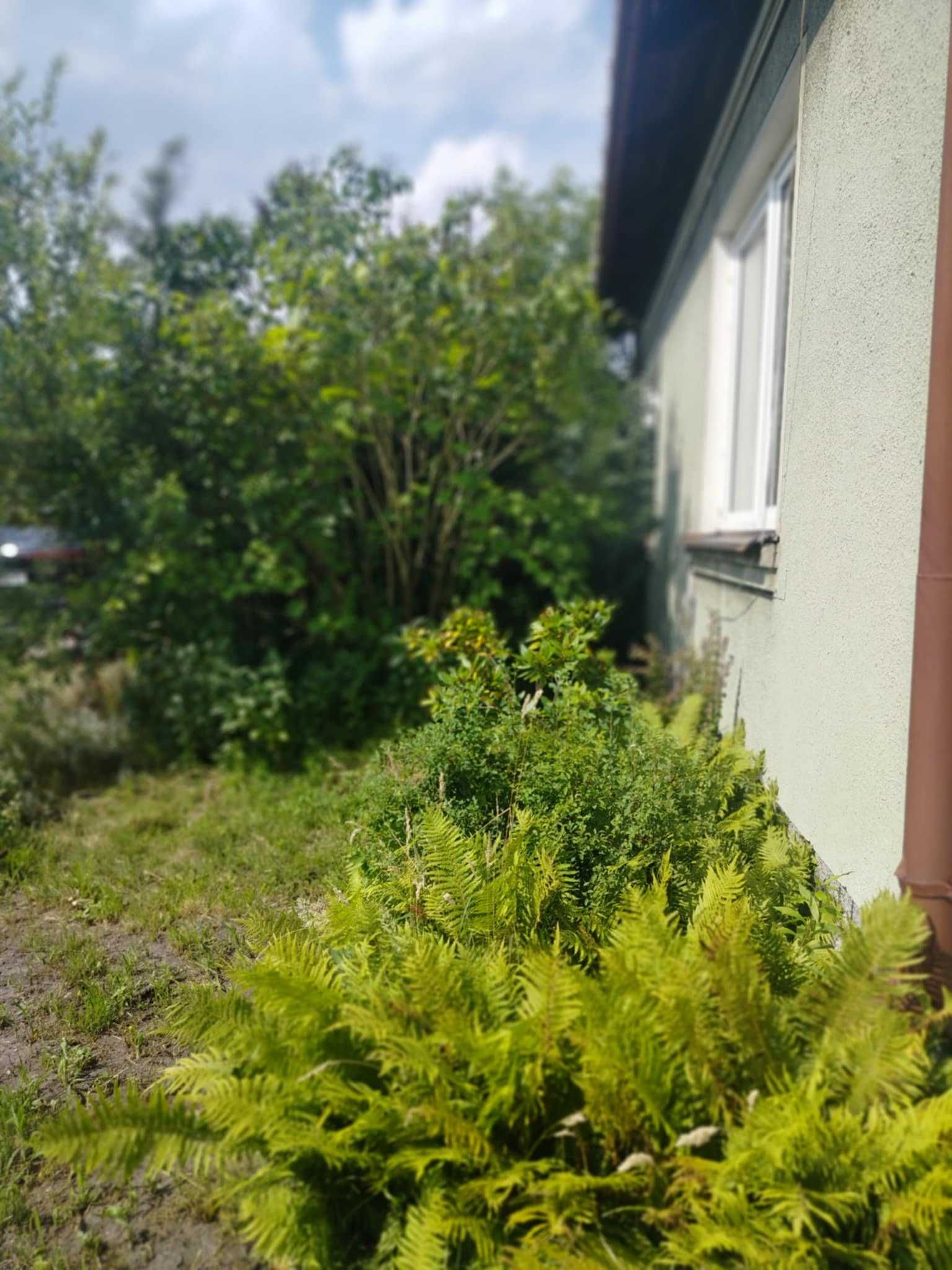 Domek do wynajęcia