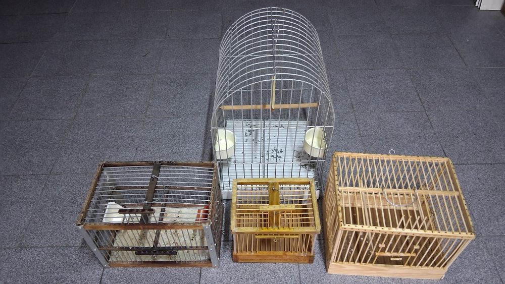 Vendo estas gaiolas.