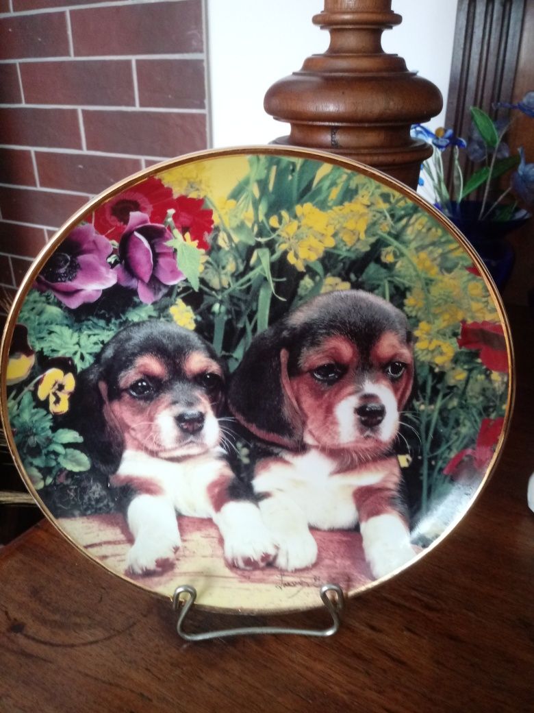 Kolekcjonerski talerz w szczeniaki Beagle